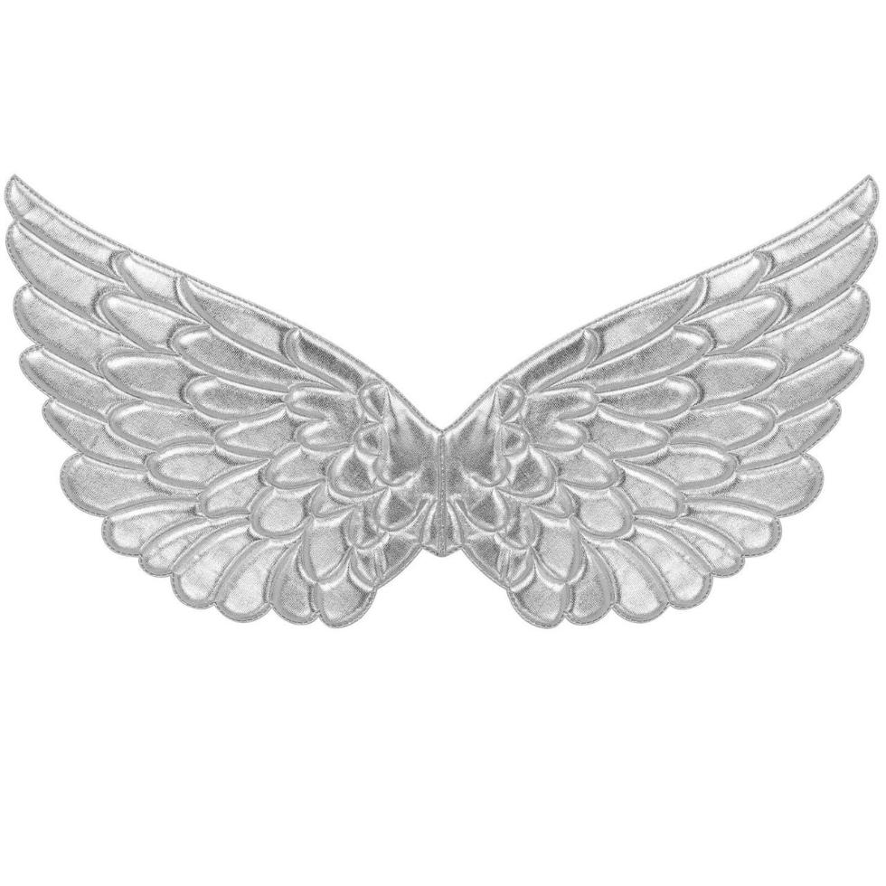 Silver Wings