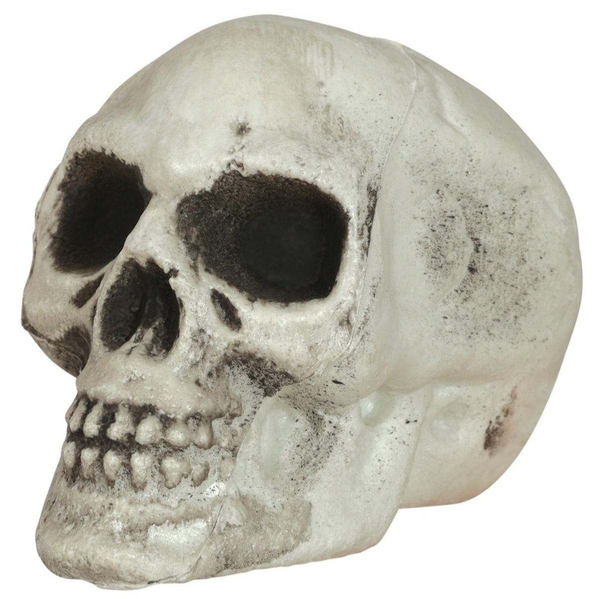 Bag of 6 Sinister Skulls