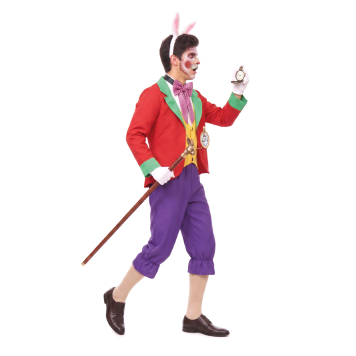 Mens Fun Alice Rabbit Costume