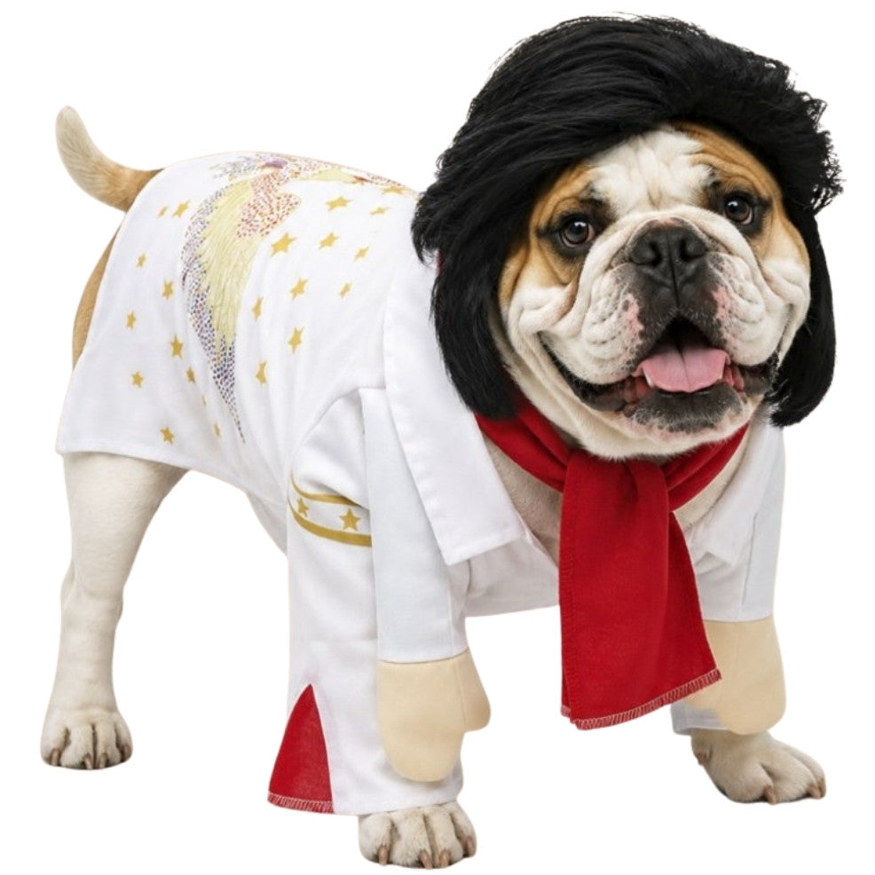 Rock King Costume for pet