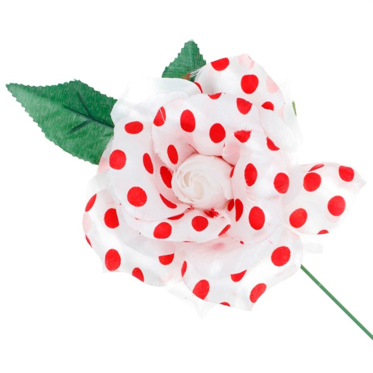 White Pink Flamenco and Chulapa Polka Dot Rose
