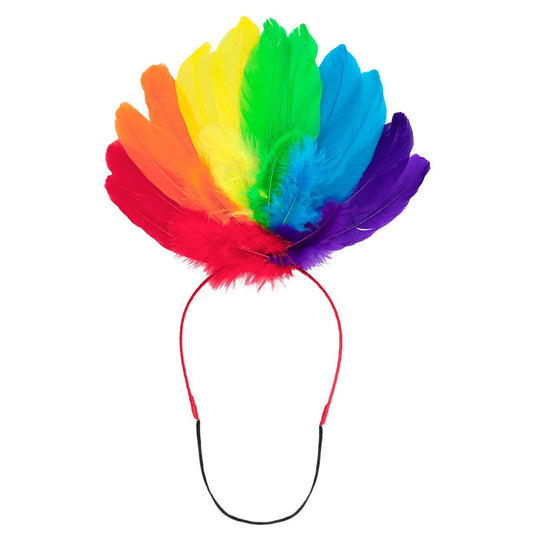 Multicolour Feather Headdress