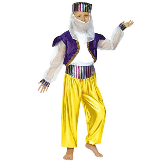 Girls Arabian Dancer Costume