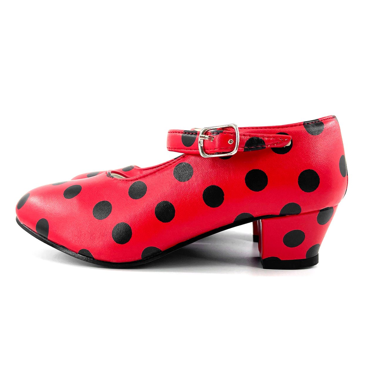 Red and Black Flamenco Shoes