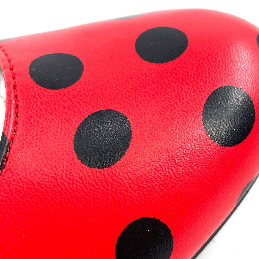 Red and Black Flamenco Shoes