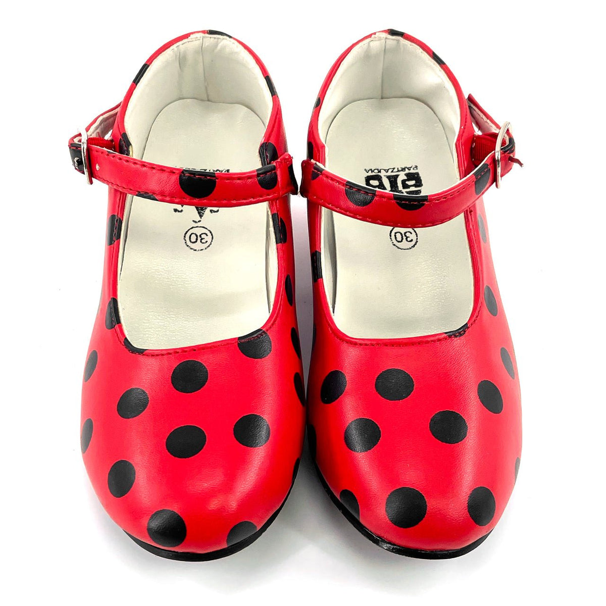 Red and Black Flamenco Shoes