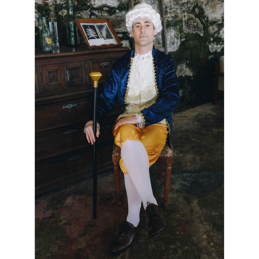 Mens Baroque Count Costume