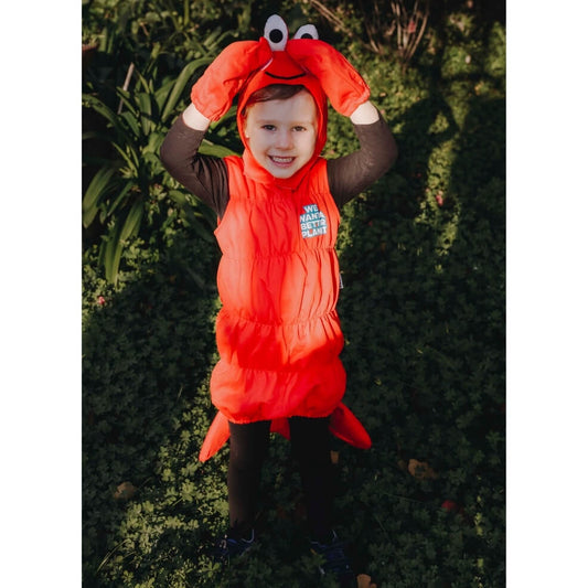 Kids Fun Prawn Costume