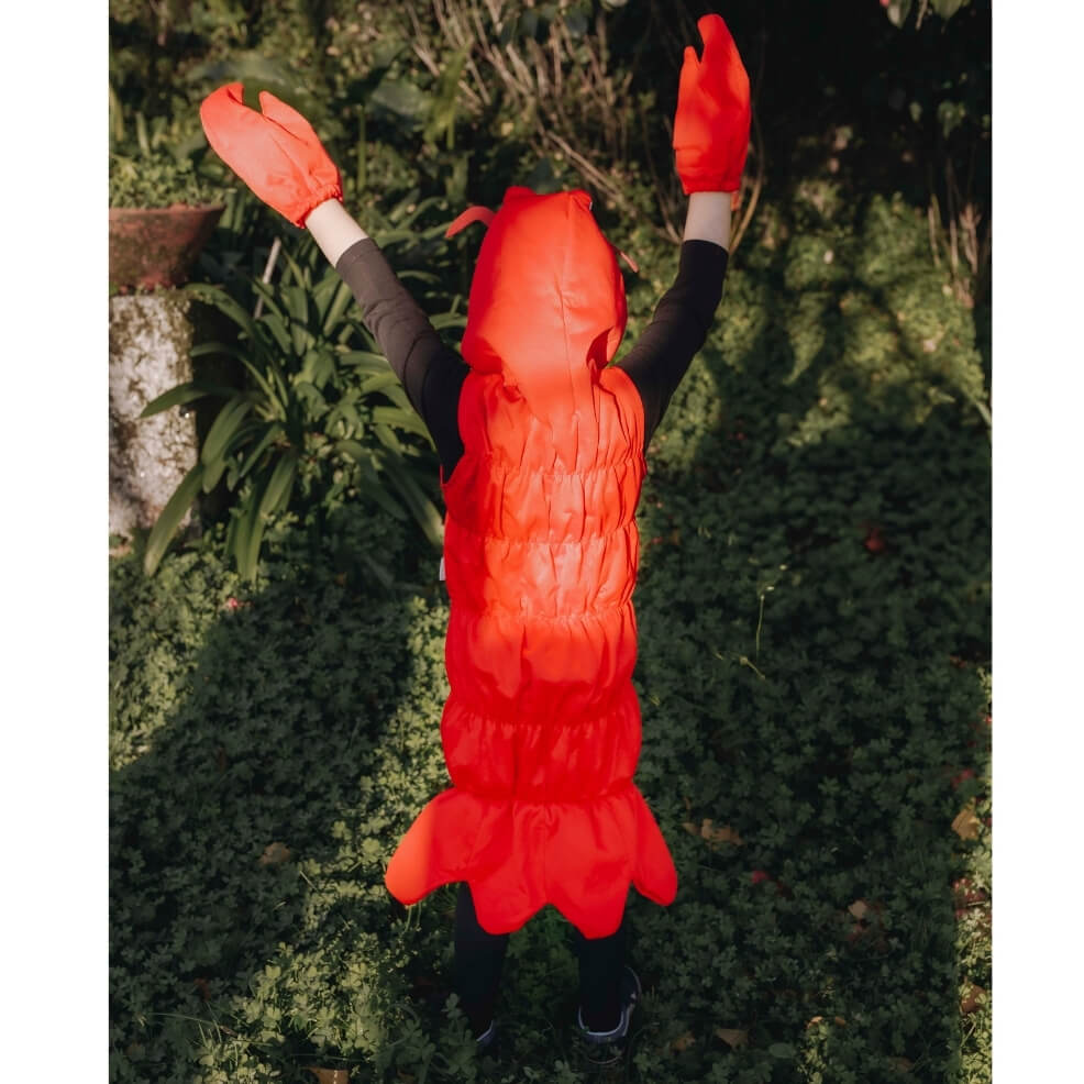 Kids Fun Prawn Costume