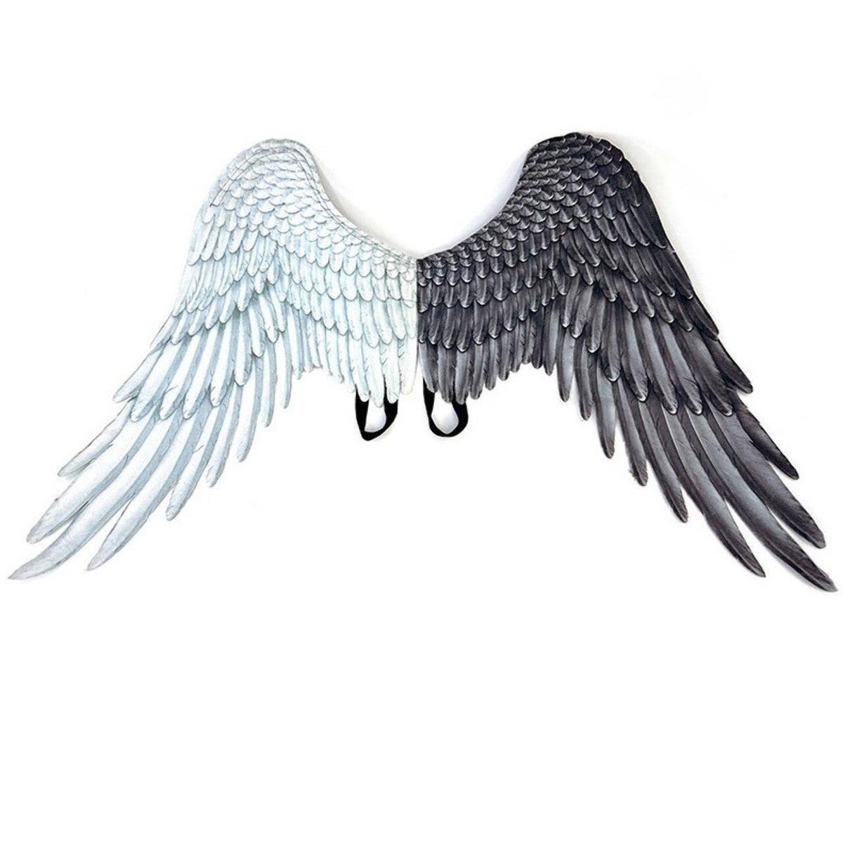 Black and White Wings