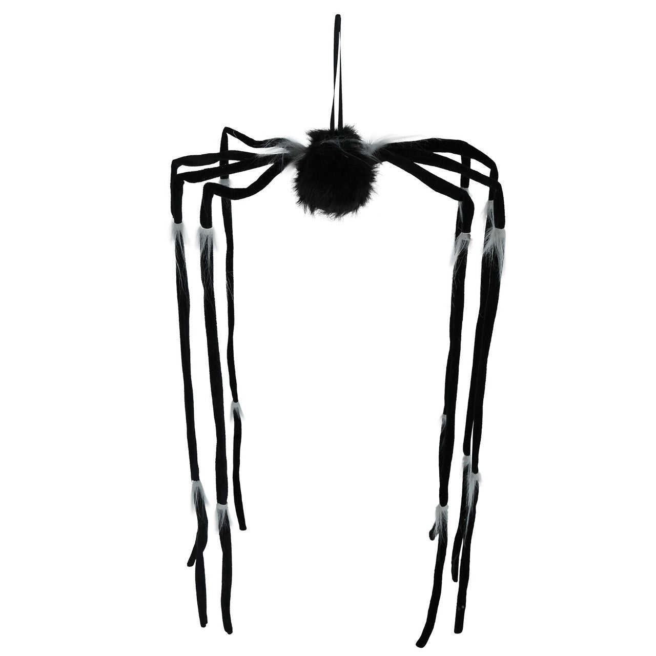 Hanging Spider