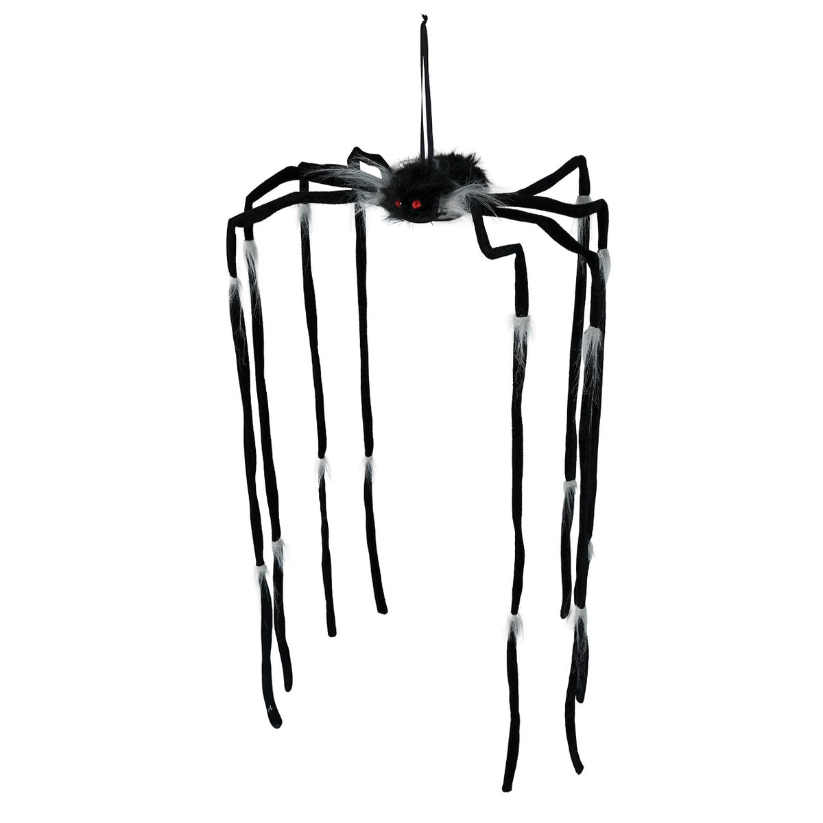 Hanging Spider