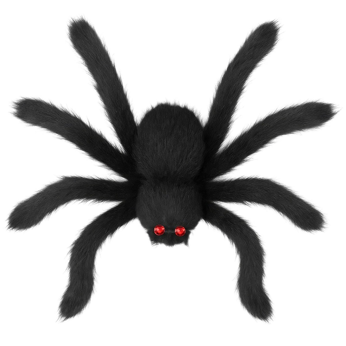 Giant Black Hairy Spider