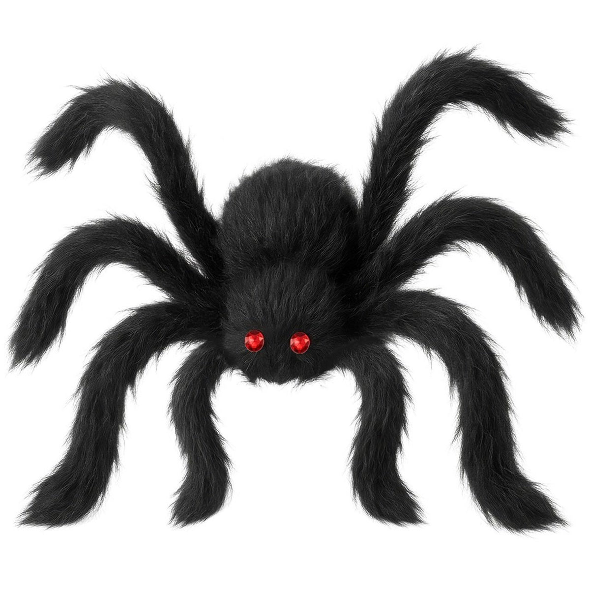 Giant Black Hairy Spider