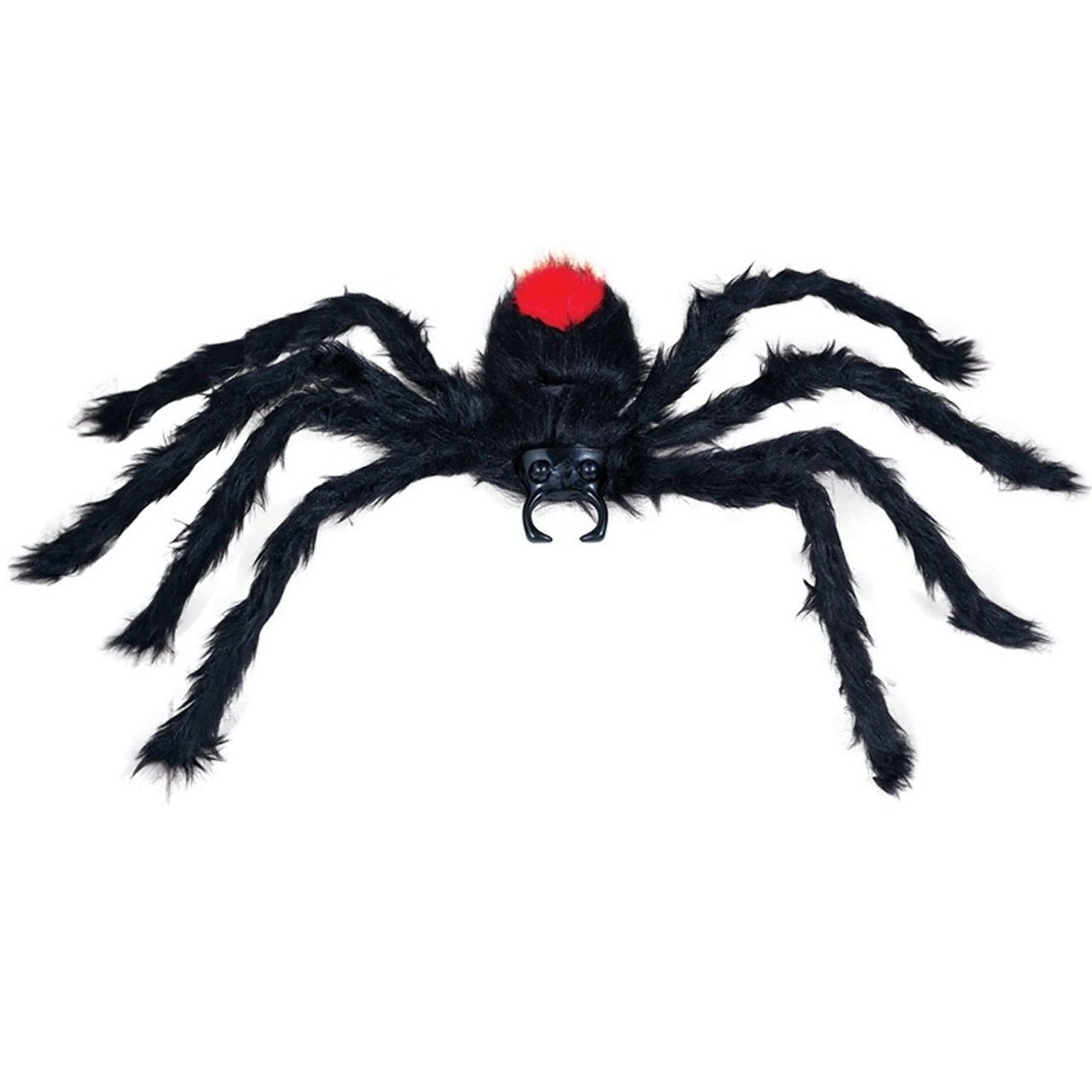 Venomous Hairy Spider