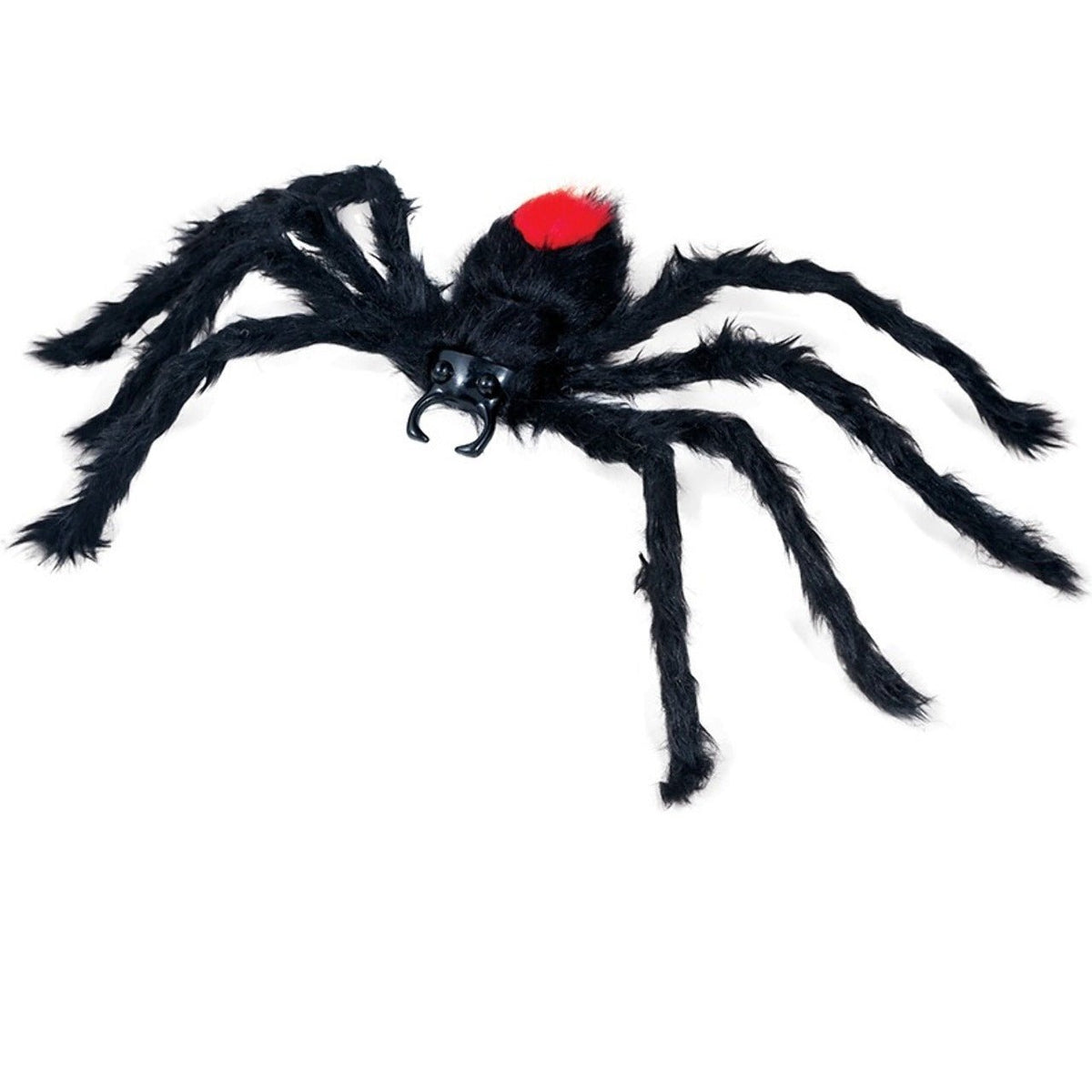Venomous Hairy Spider