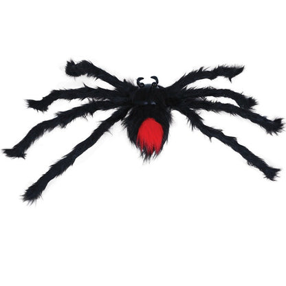 Venomous Hairy Spider