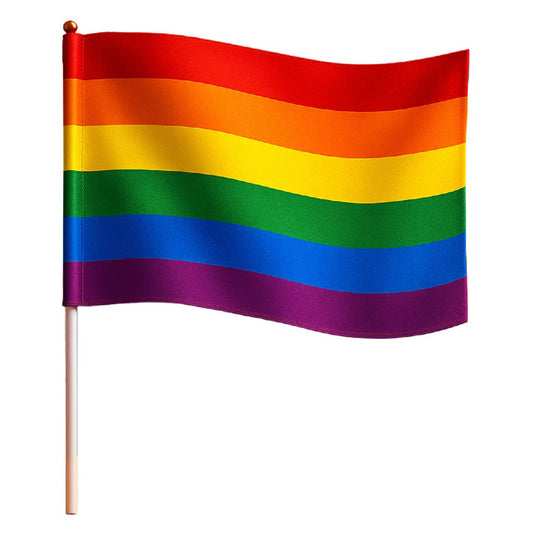 Pack of 24 Multicolour Pride Flags with 30 cm stick