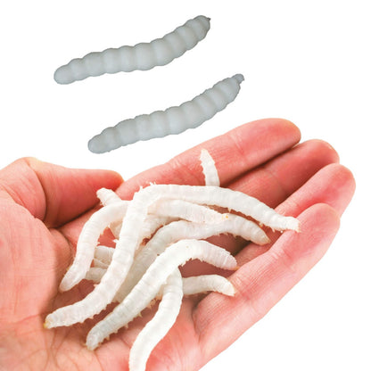 Bag of 20 Elastic Worms