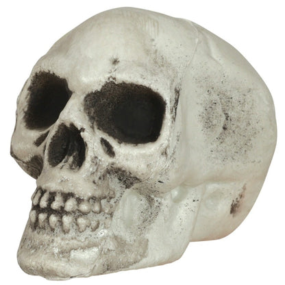 Bag of 6 Sinister Skulls