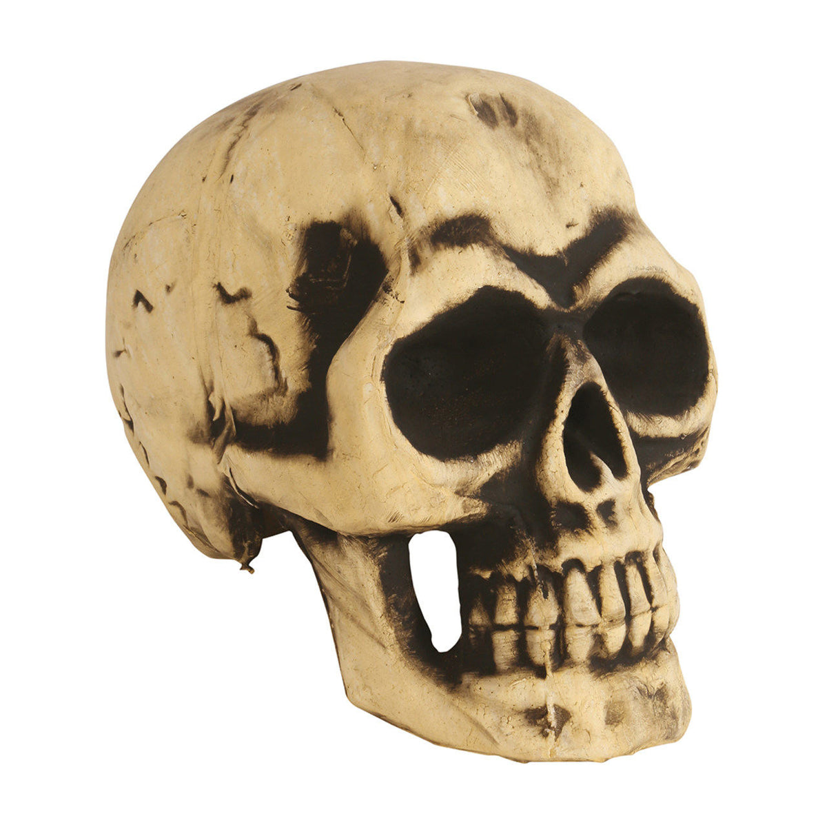 Large Foam Skull