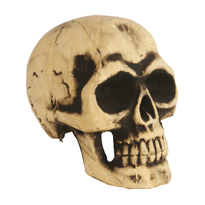 Large Foam Skull