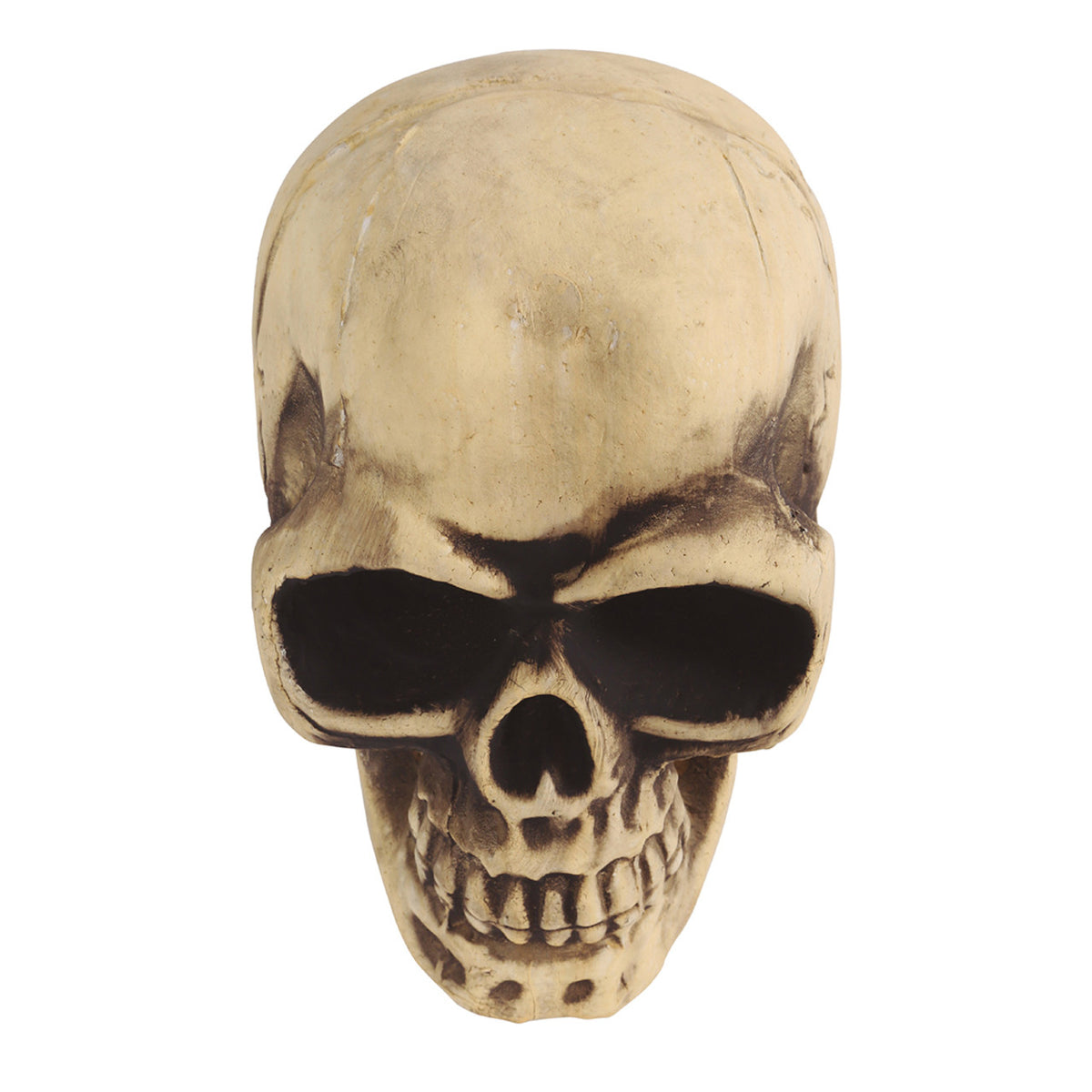 Large Foam Skull
