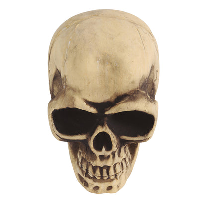 Large Foam Skull