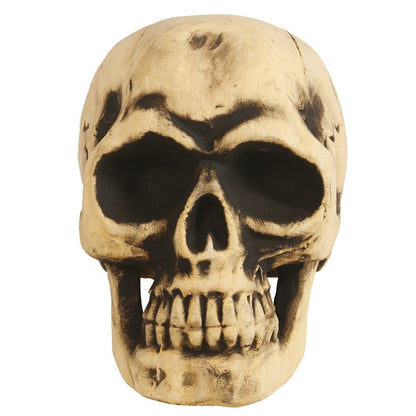 Large Foam Skull