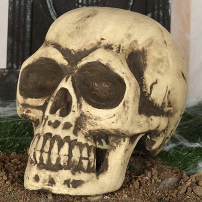 Large Foam Skull