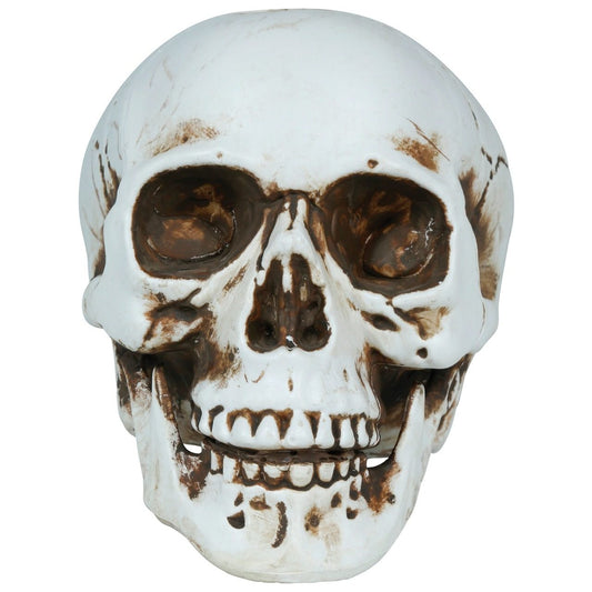 Halloween Skull