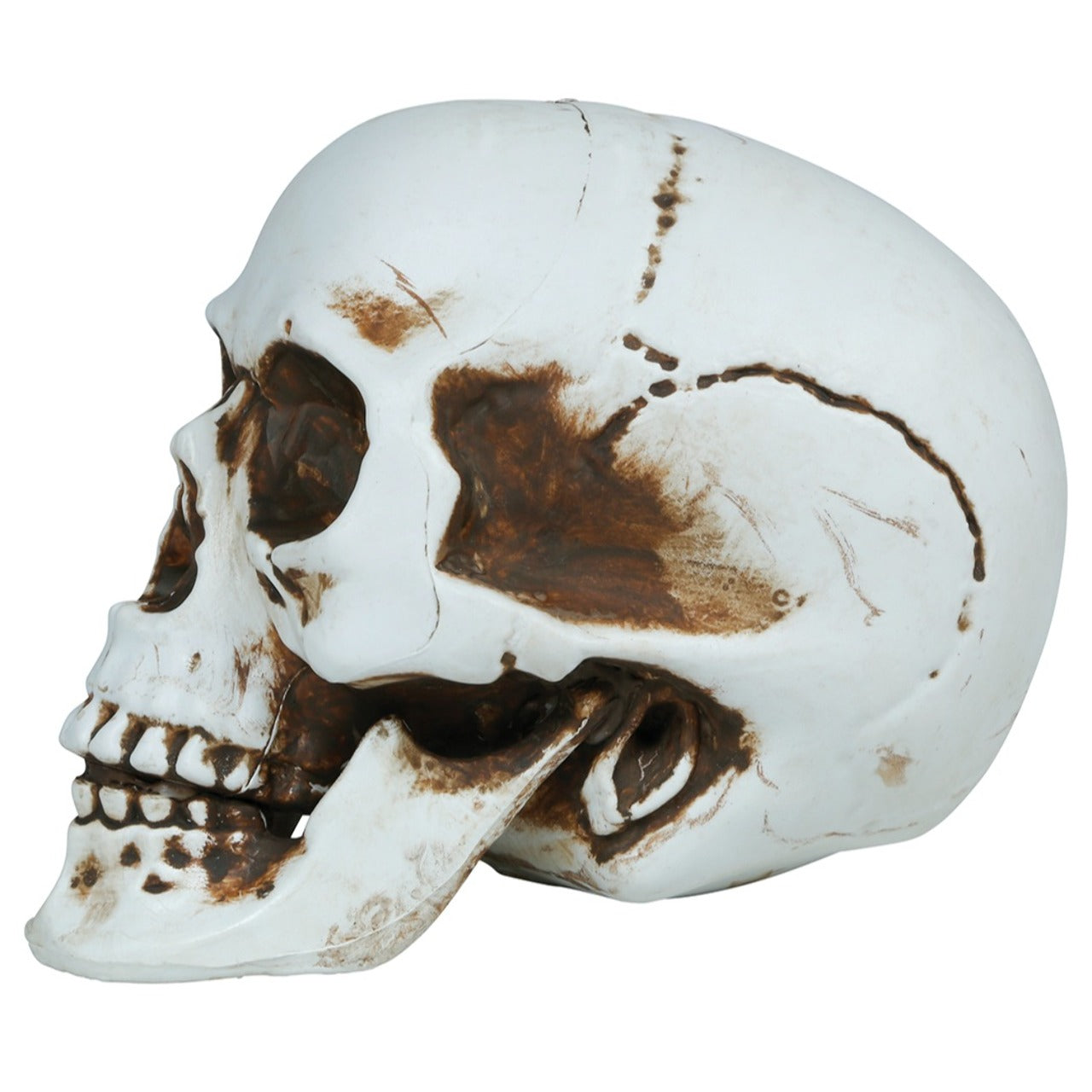 Halloween Skull