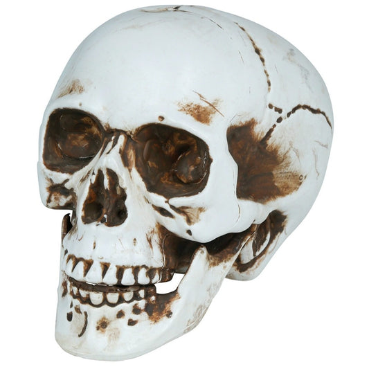 Halloween Skull