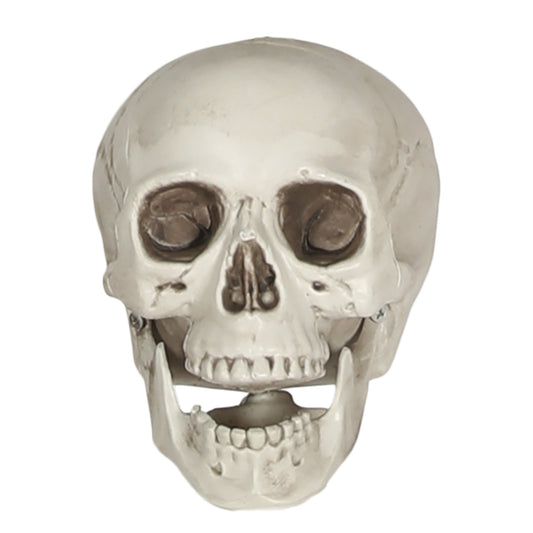 Terrifying Skull