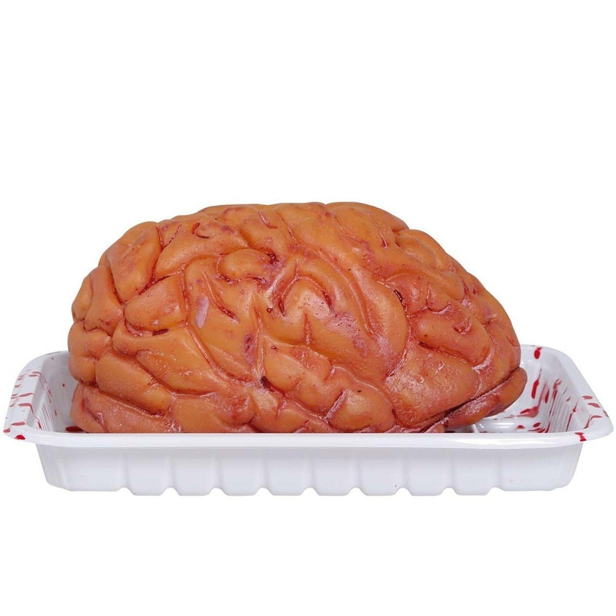 Brain on Tray