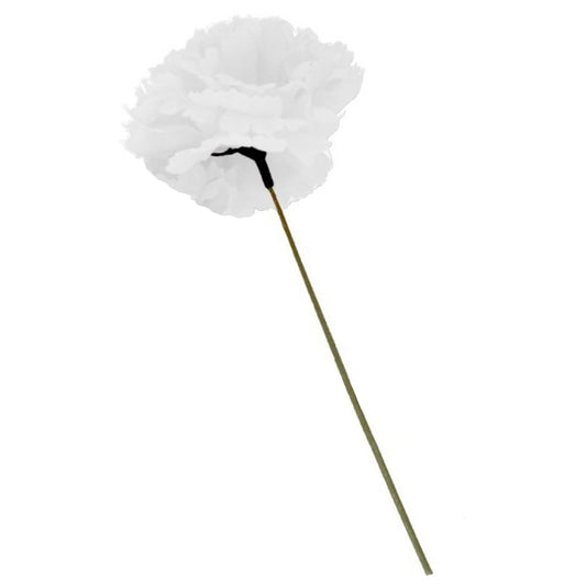 White Carnation with Stem