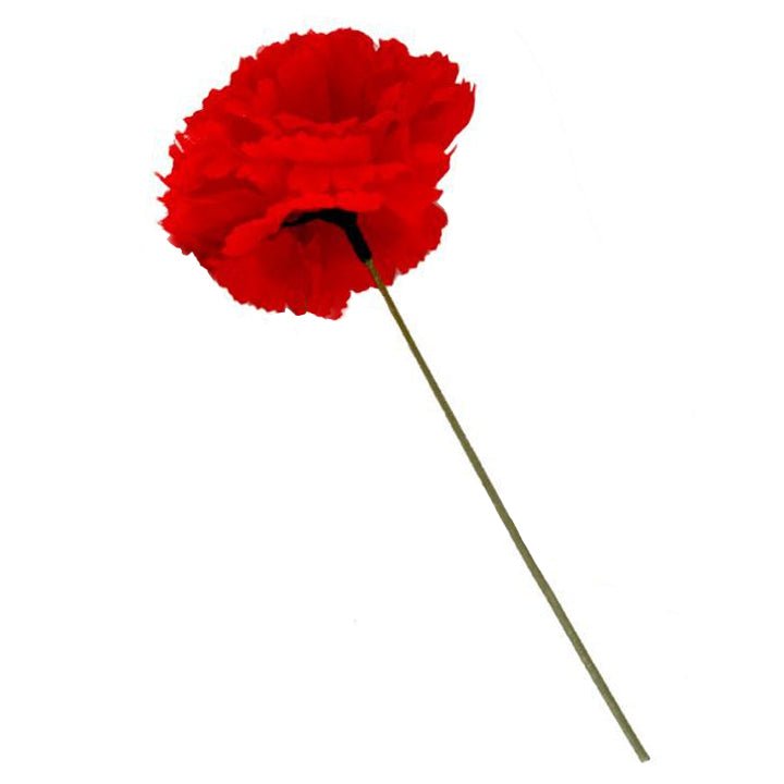 Red Carnation with Stem