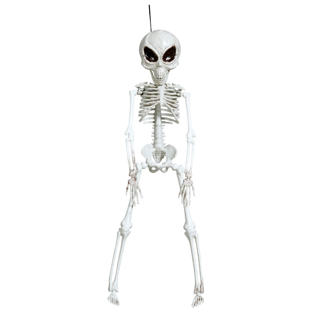 Hanging Alien Skeleton