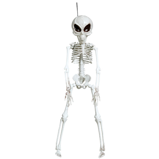 Hanging Alien Skeleton