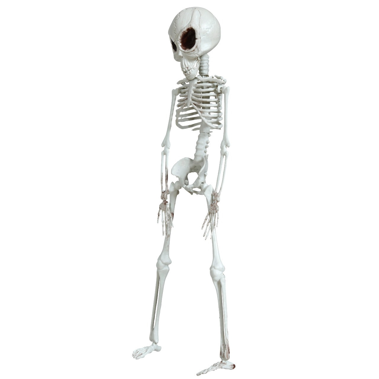 Hanging Alien Skeleton