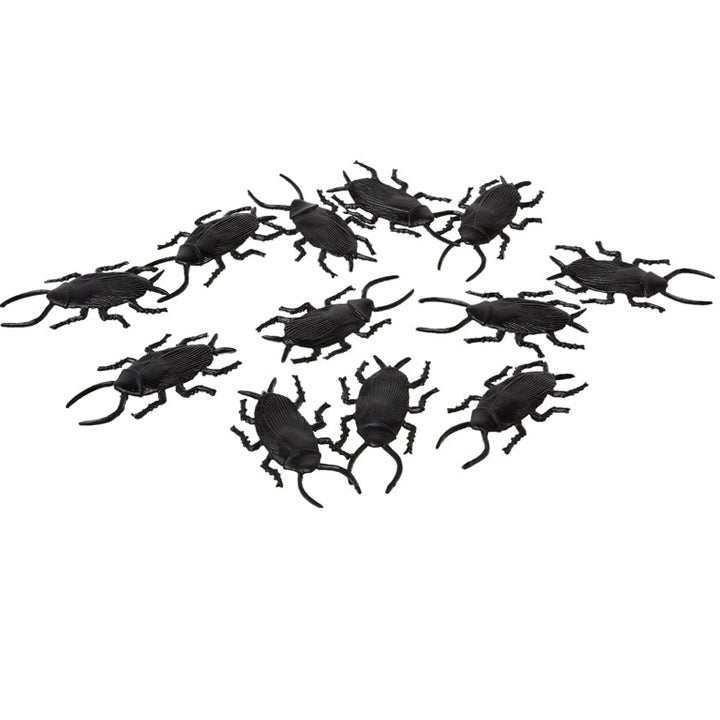 Bag of 18 Cockroaches