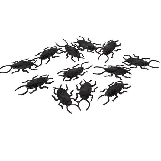 Bag of 18 Cockroaches