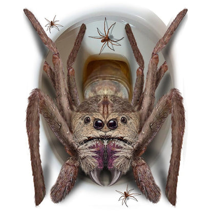 Giant Spider Toilet Decoration