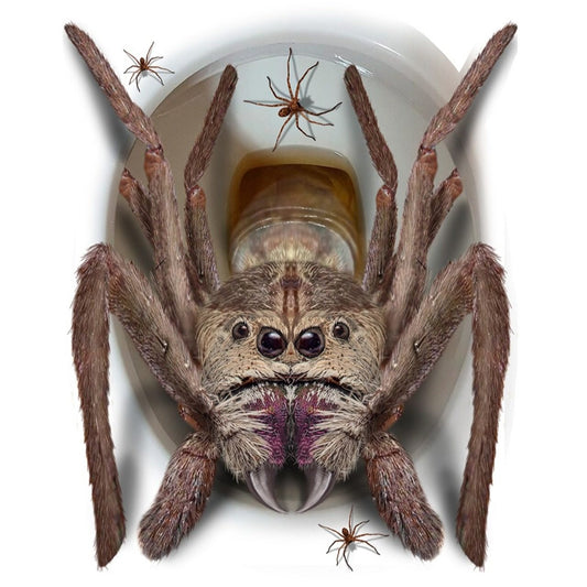 Giant Spider Toilet Decoration