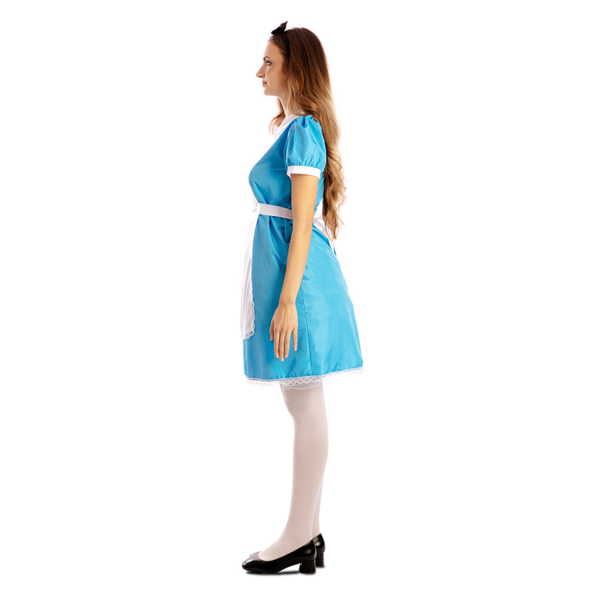 Womens Alice in Wonderland Storybook Costume