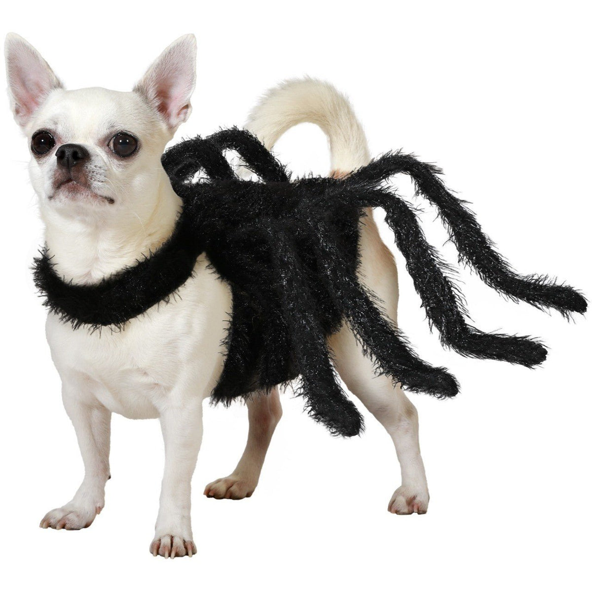 Black Spider Pet Costume