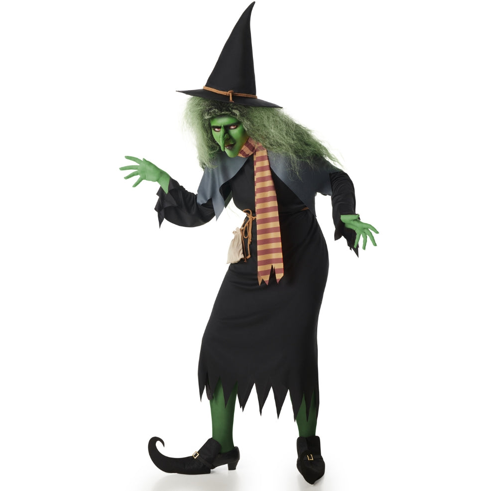 Womens Forest Witch Costume