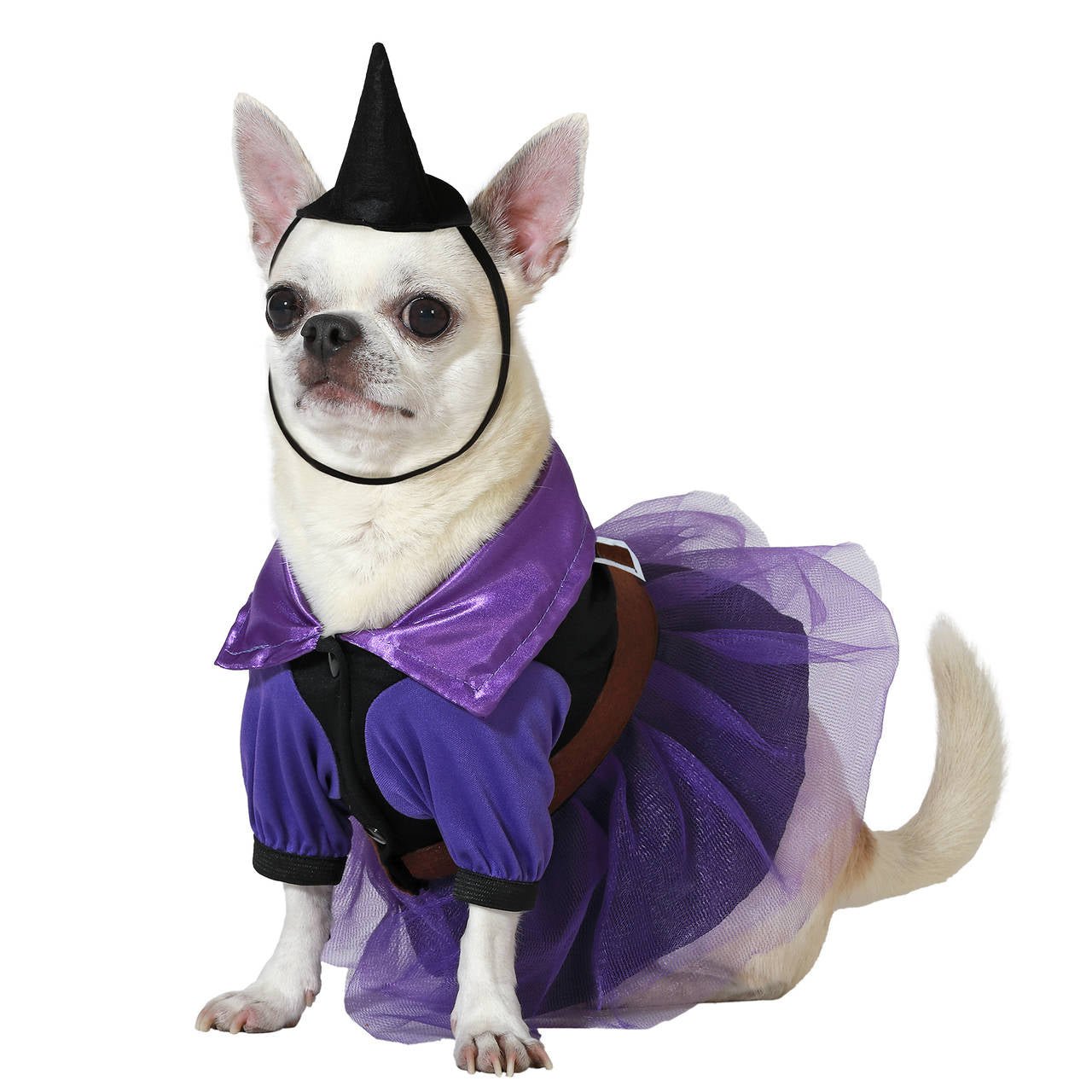 Matilda Witch Costume for pet