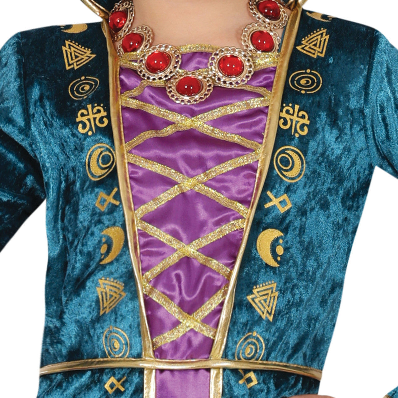 Girls Winifred Hocus Pocus Witch Costume