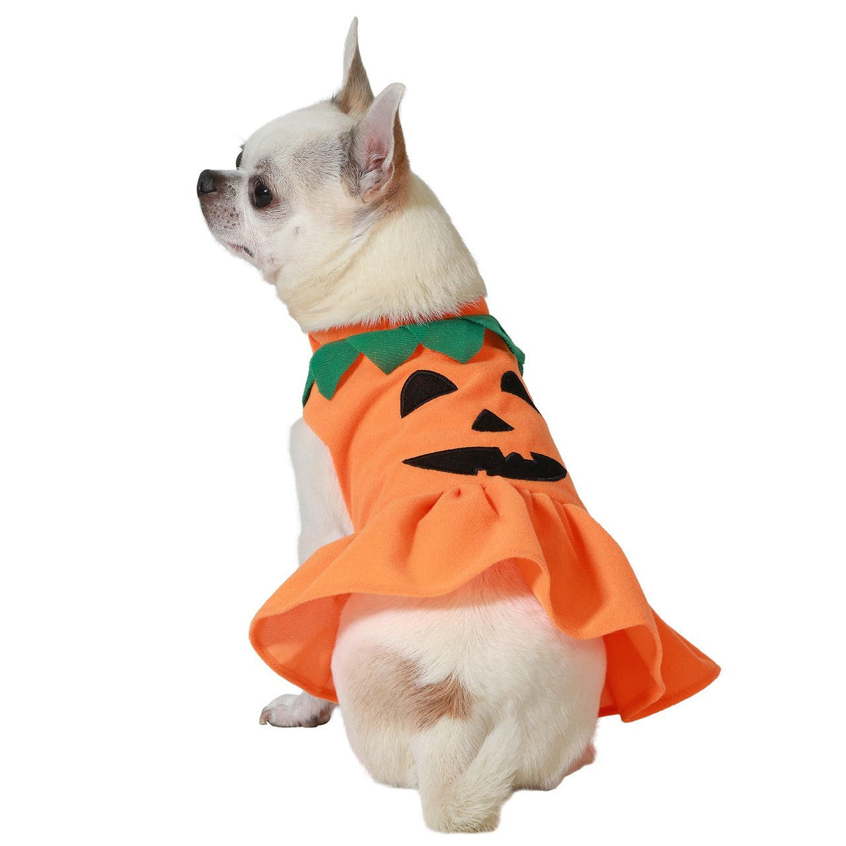 Pumpkin Costume for Pet